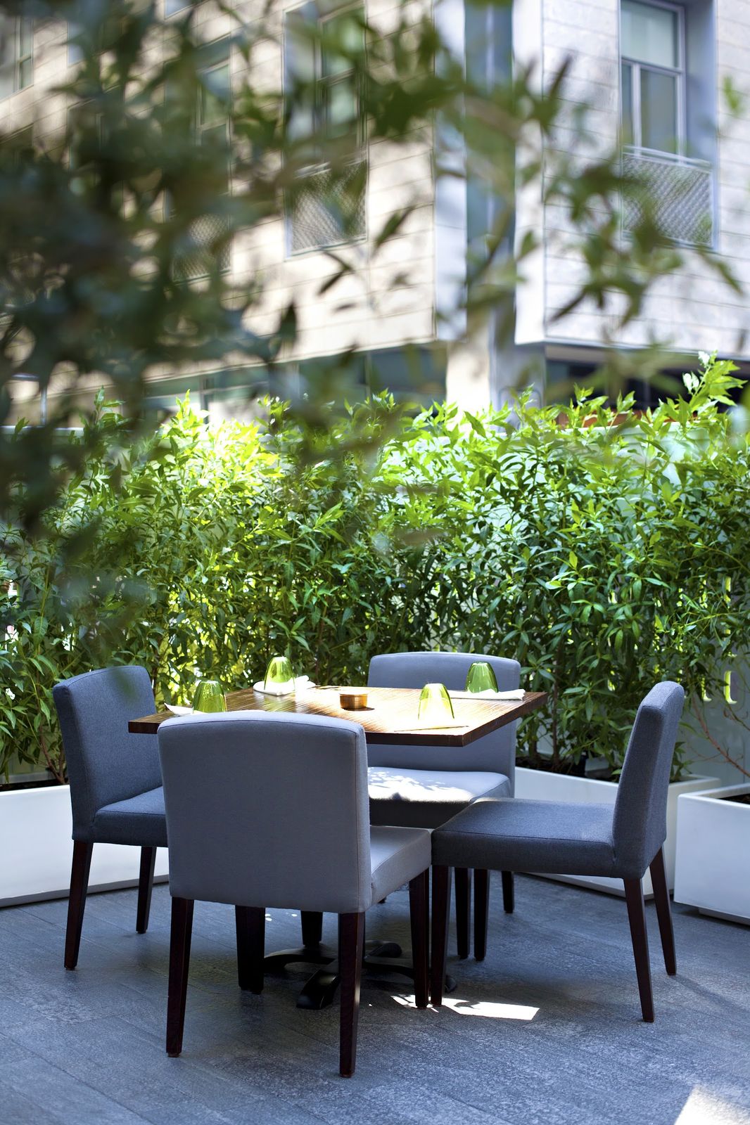 BOCA DIFC Dubai Michelin