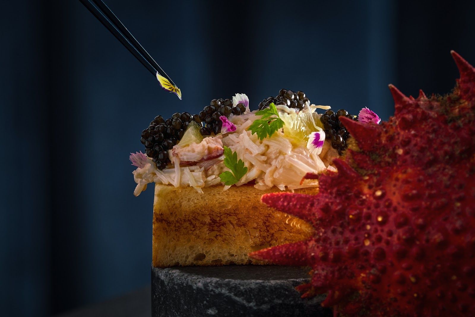 Bull and Bear Waldorf Astoria DIFC Dubai steakhouse