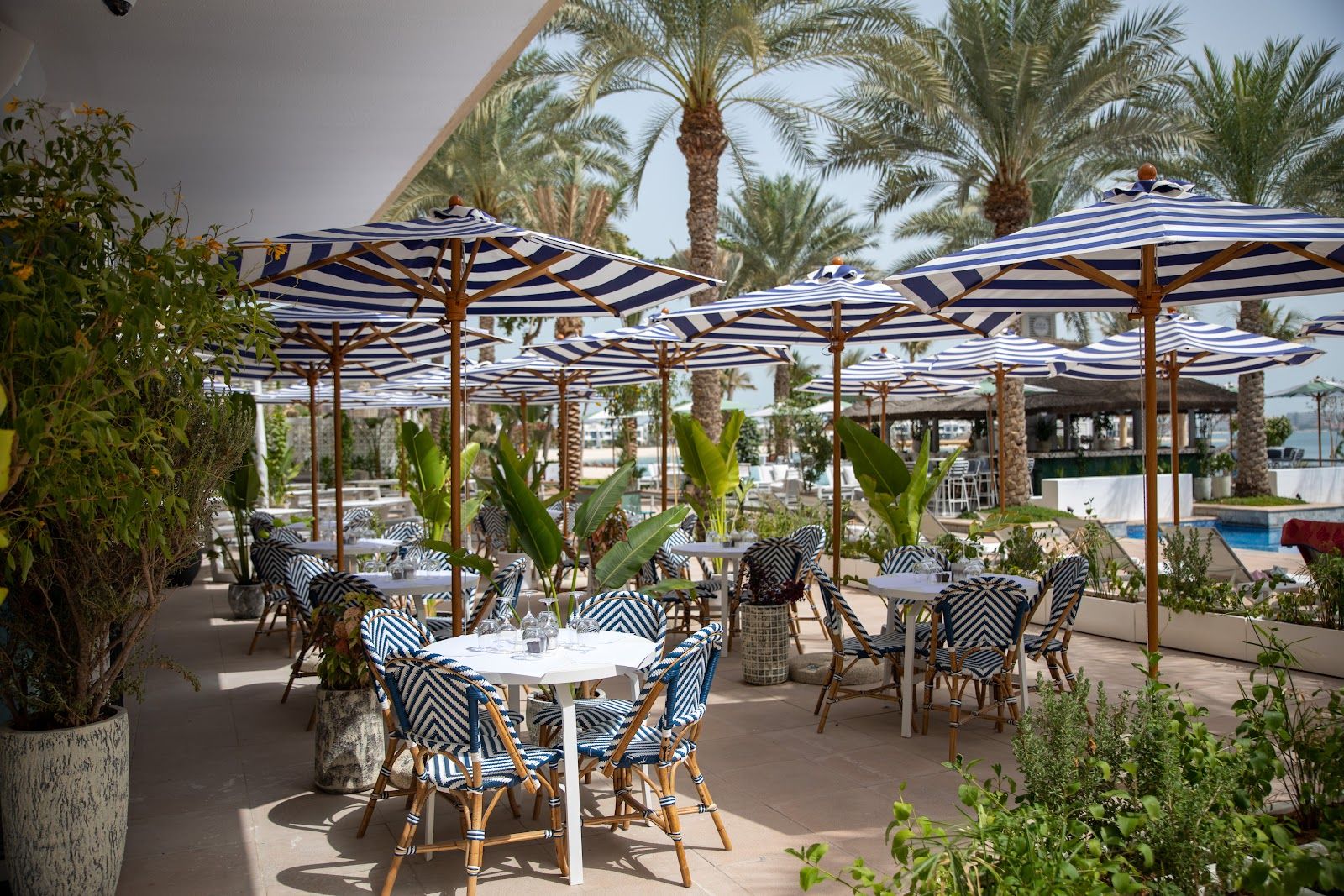 Byron Bathers Club Dubai — beachside dining with grills and seafood in a family setting
