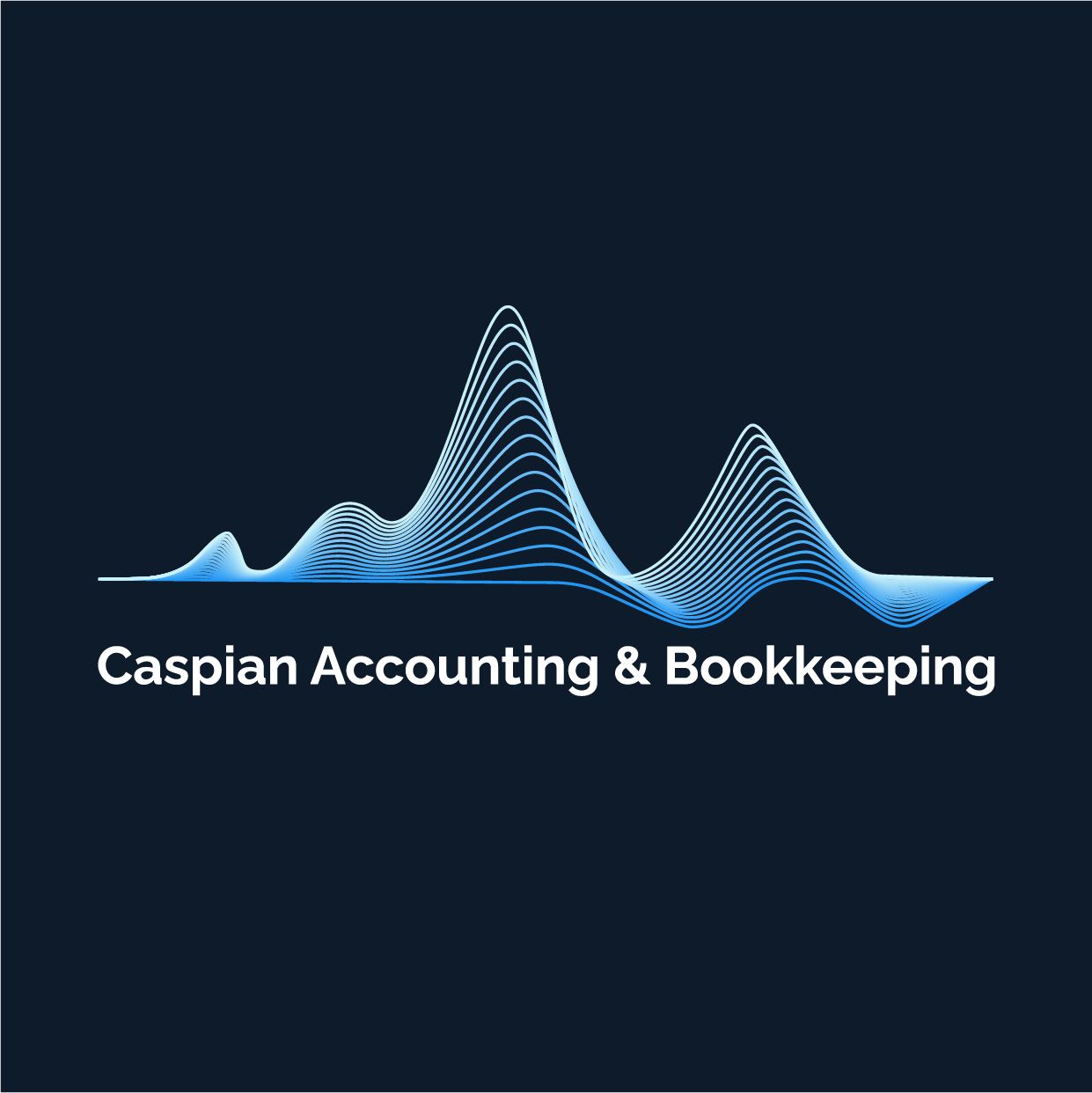 Caspian Accounting & Bookkeeping LLC Dubai