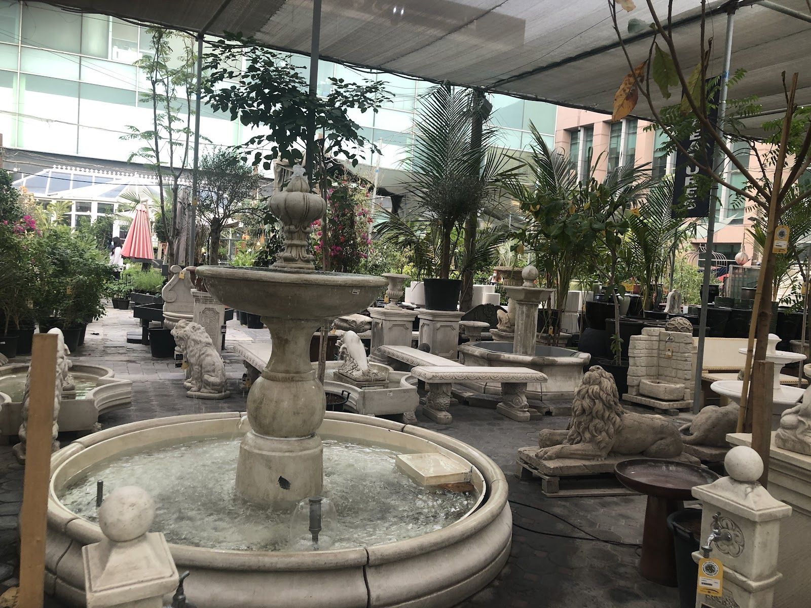 Dubai Garden Centre