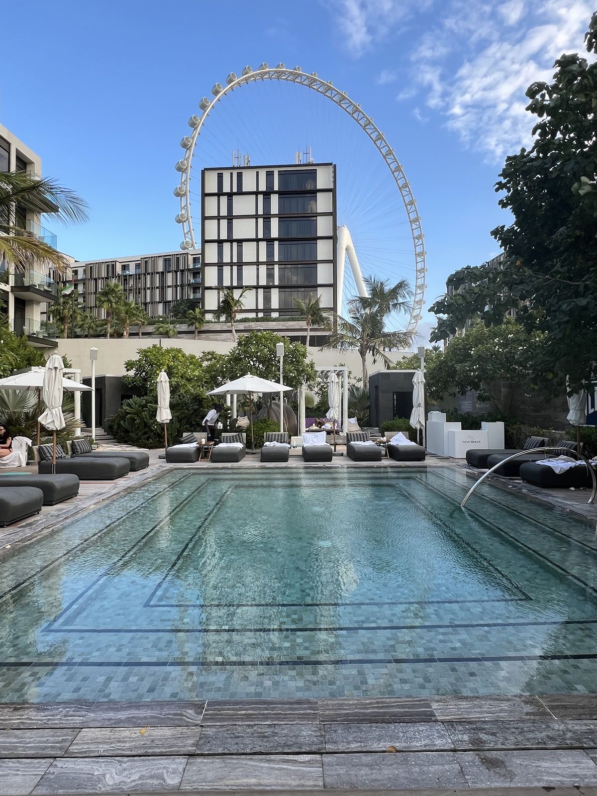 Cove Beach Bluewaters Dubai — the beach club pool and loungers