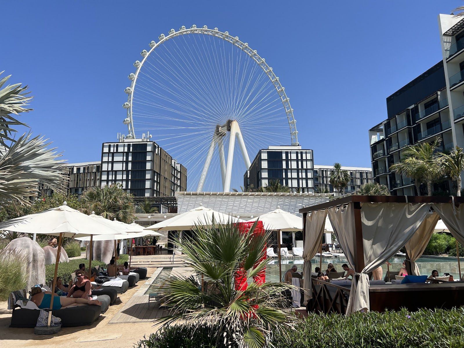 Cove Beach Dubai — beach club brunch on Bluewaters Island