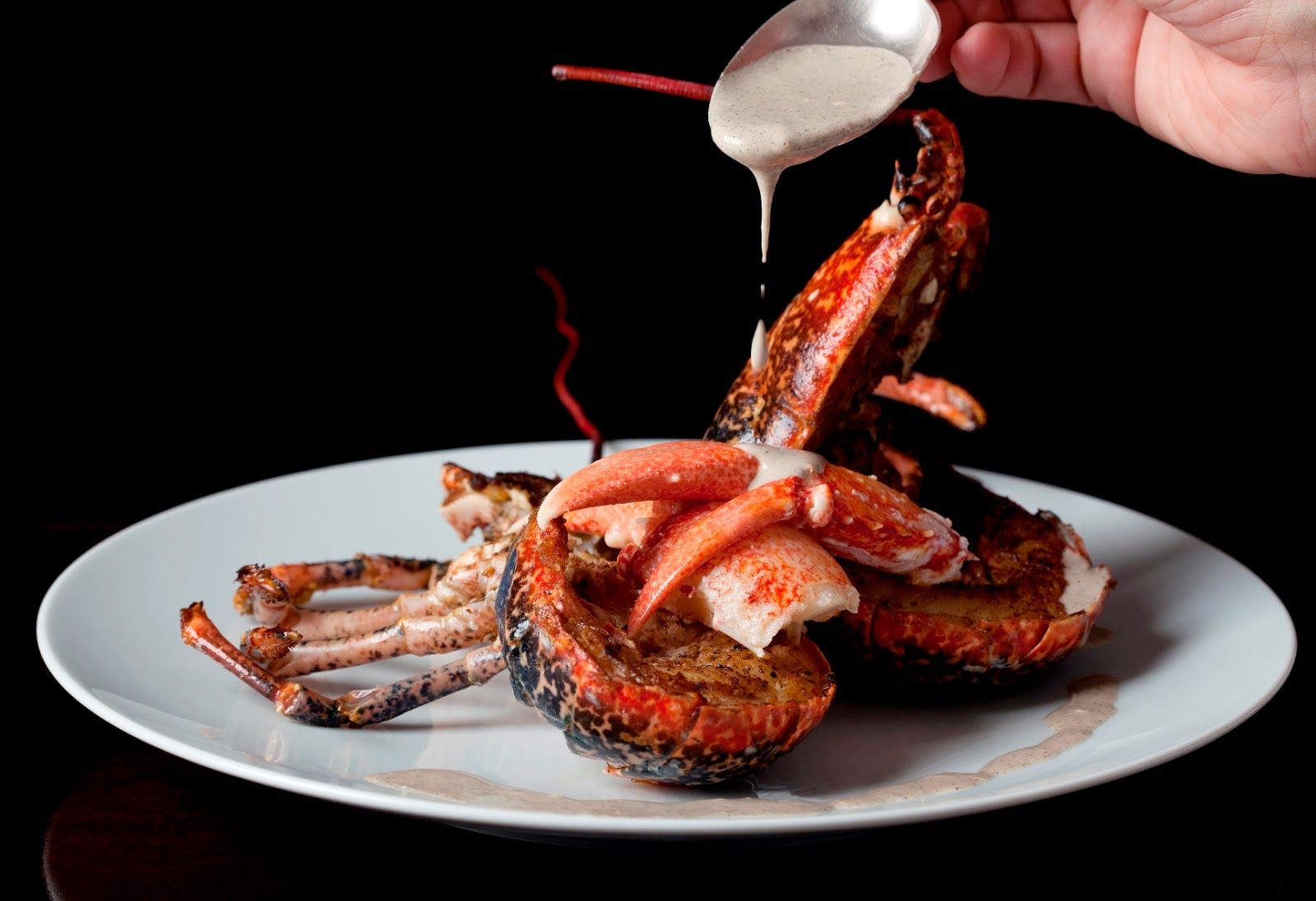 Downtown Dubai restaurant guide