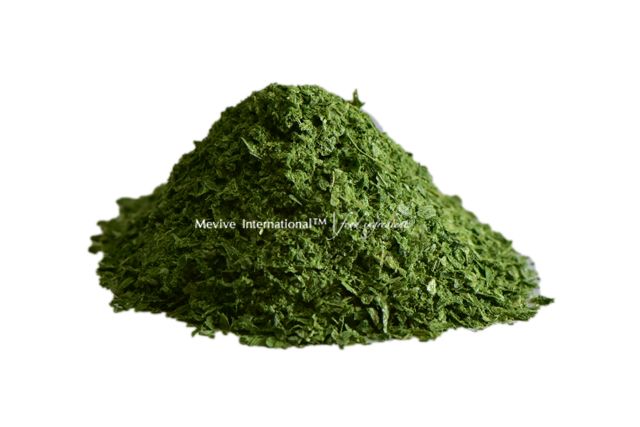 Mevive General Trading LLC | Food Ingredients Supplier in Dubai