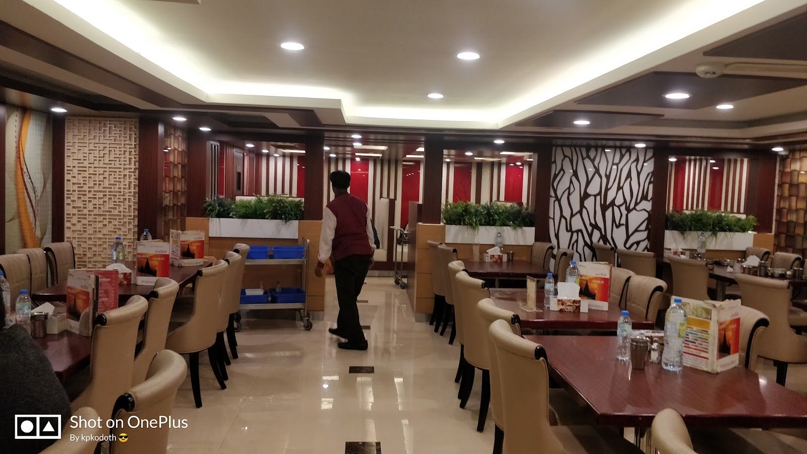 Saravana Bhavan dosa idli sambar South Indian vegetarian