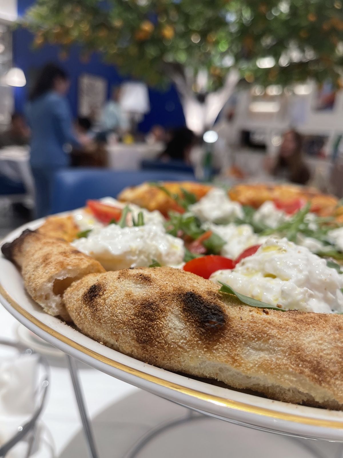 Best Handmade Pasta in Dubai Dubai