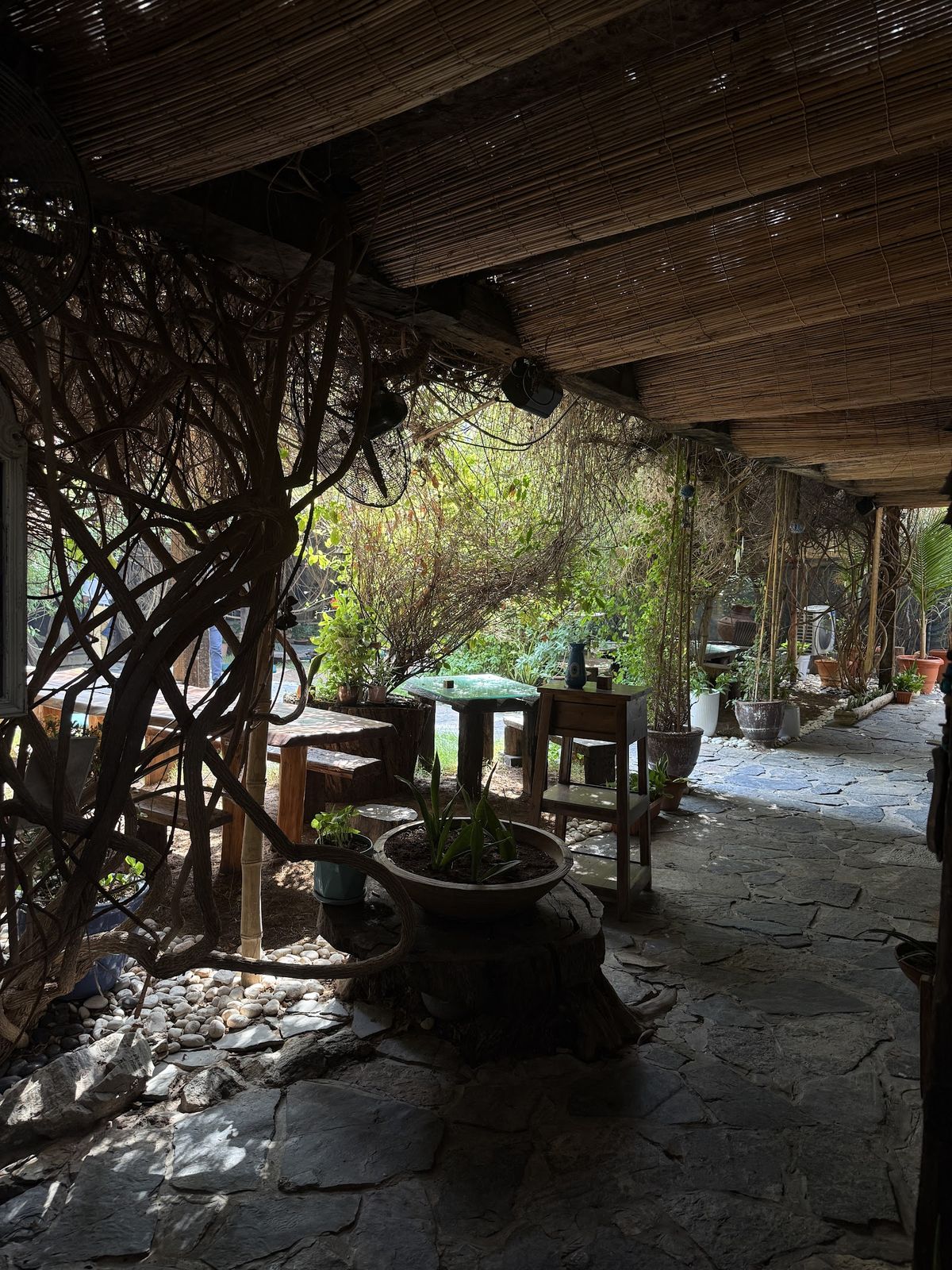 SEVA Table Jumeirah Beach Road — plant-based bowls and nut milk coffees in a leafy garden setting