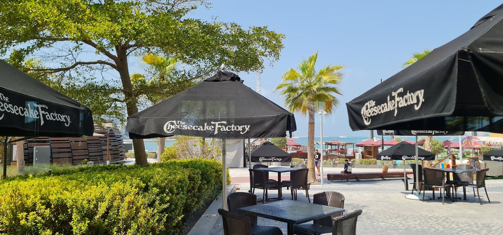 The Cheesecake Factory Dubai Mall — enormous portions and extensive menu for families