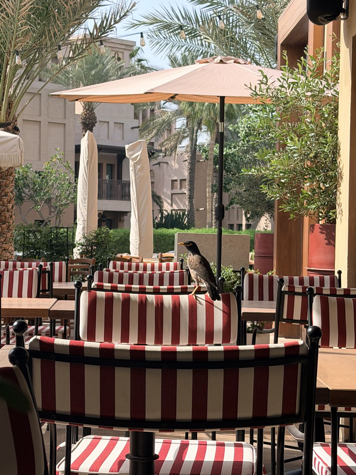 Trattoria Toscana Dubai — terrace tables over the Madinat waterways