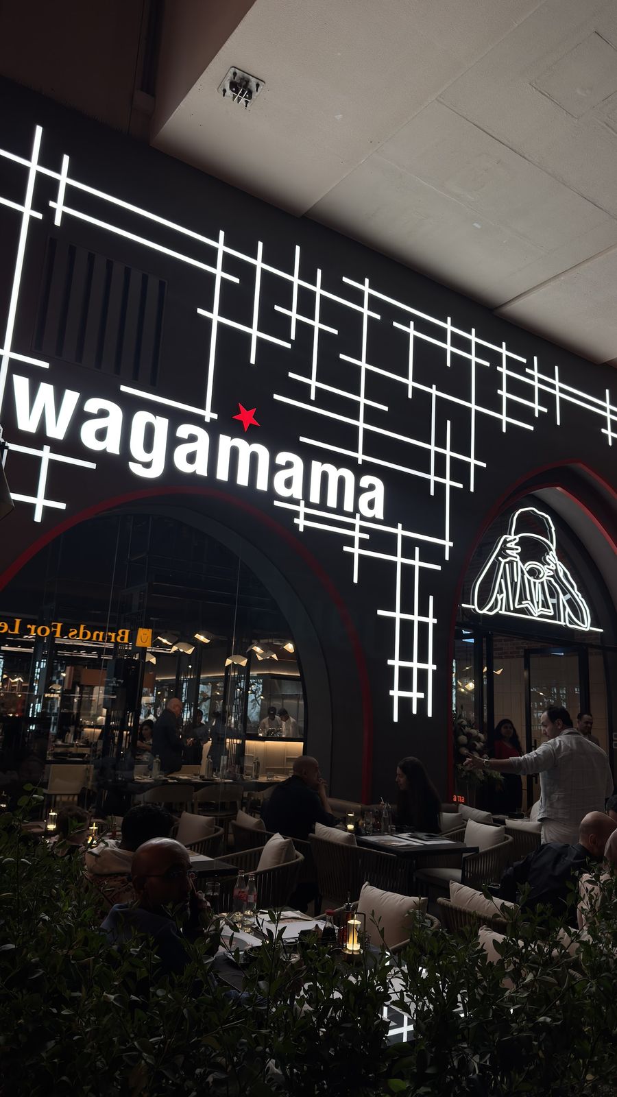Wagamama Dubai — katsu curry and ramen bowls at The Walk JBR